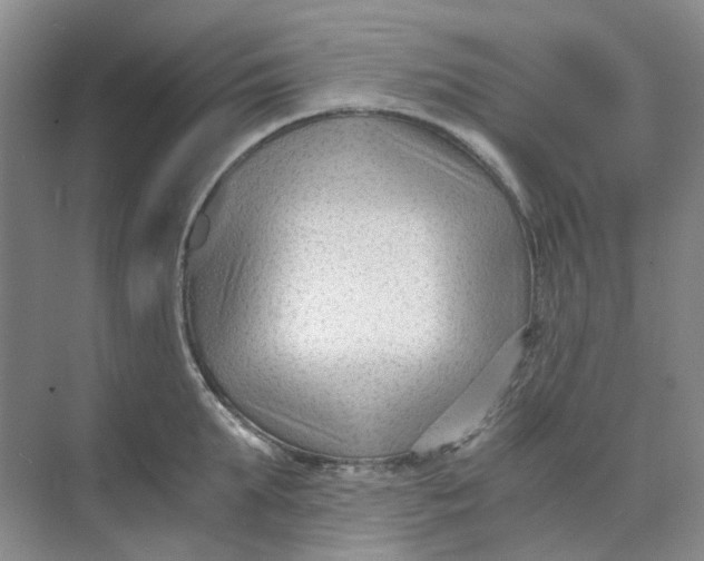 X0000073860903200608312023