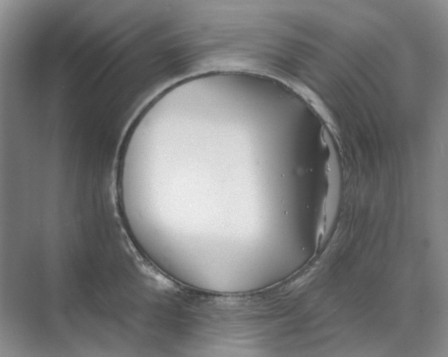 X0000073860904200608312023