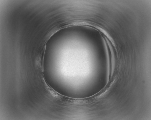 X0000073860905200608312023