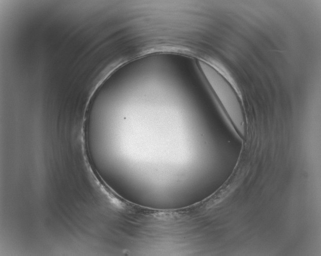 X0000073860906200608312023