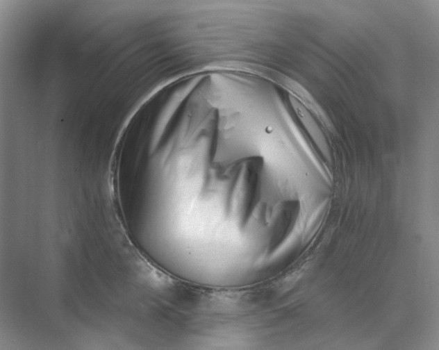 X0000073860908200608312023