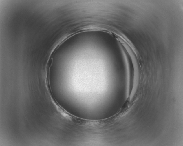 X0000073860909200608312023