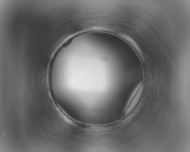 X0000073860910200608312023