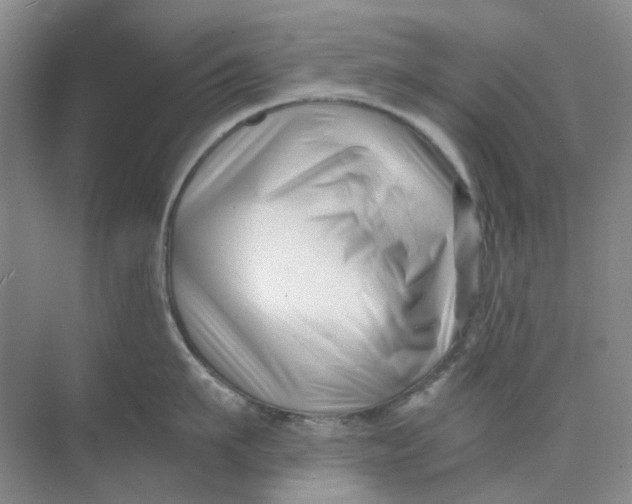 X0000073860911200608312023