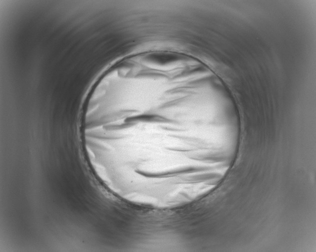 X0000073860912200608312023