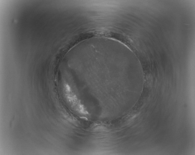 X0000073860913200608312022