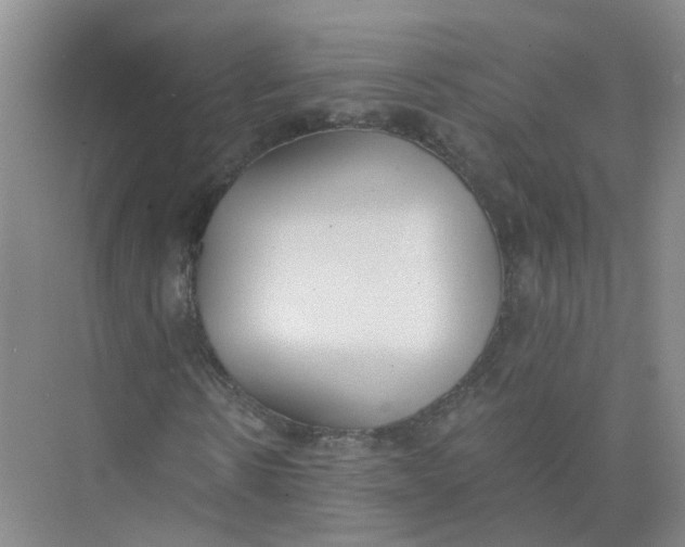 X0000073860914200608312022