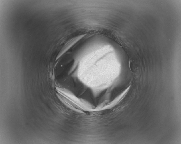 X0000073860916200608312022