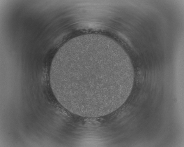 X0000073860918200608312022