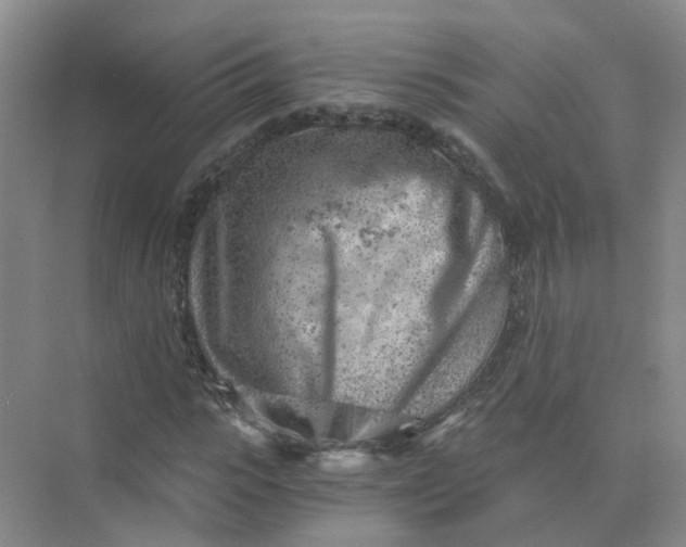 X0000073860919200608312022