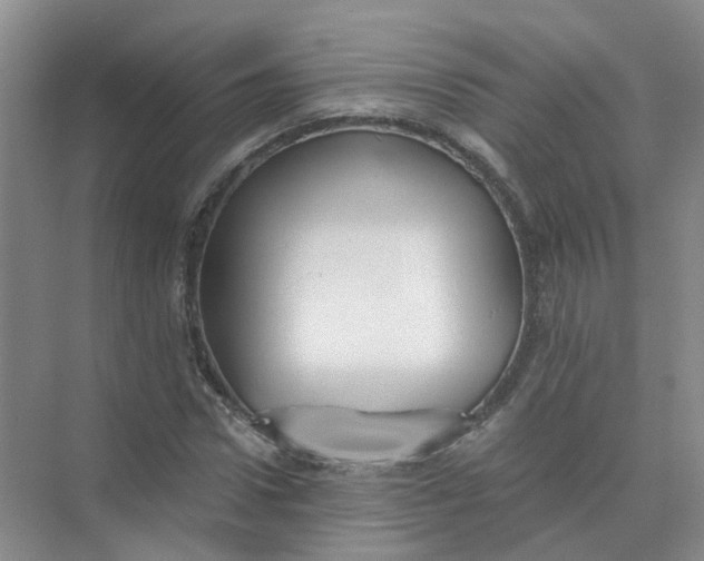 X0000073860922200608312022