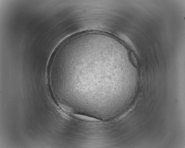 X0000073860924200608312023