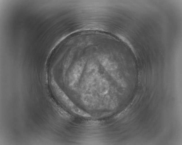 X0000073860925200608312023