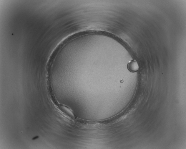 X0000073860926200608312023