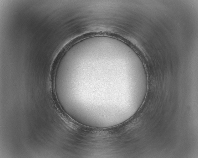 X0000073860927200608312023