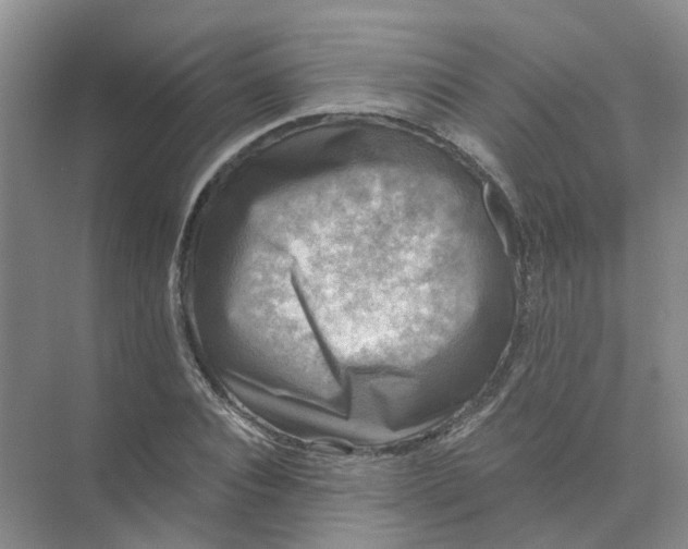 X0000073860928200608312023