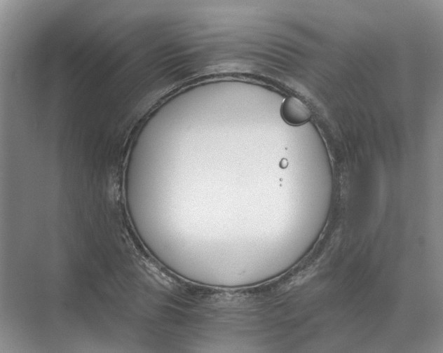 X0000073860929200608312023