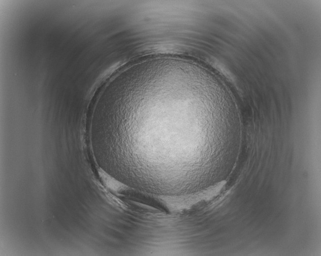 X0000073860930200608312023