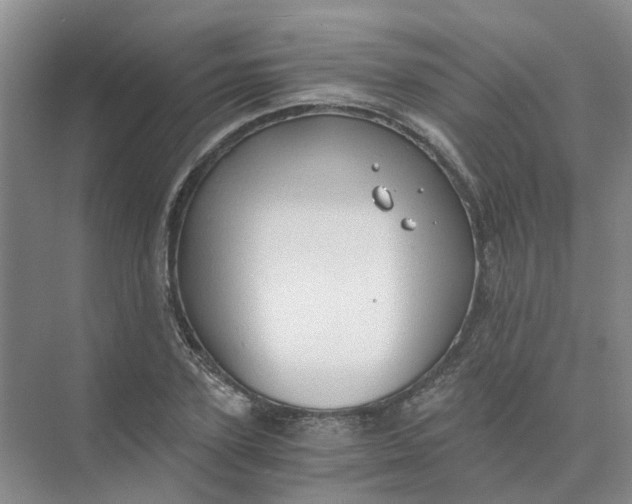 X0000073860931200608312023