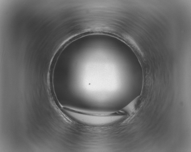 X0000073860932200608312023