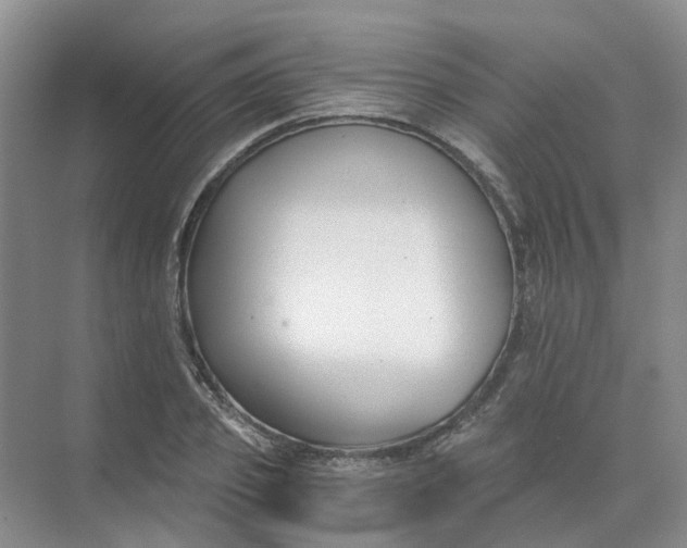 X0000073860933200608312023