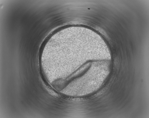 X0000073860934200608312023