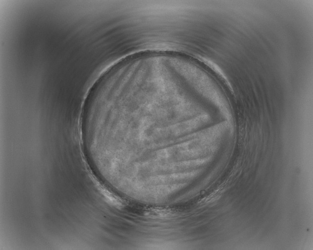 X0000073860935200608312023