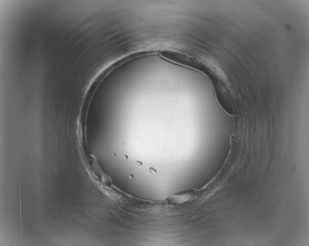 X0000073860936200608312023