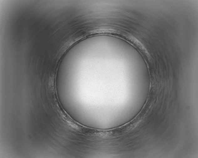 X0000073860937200608312023