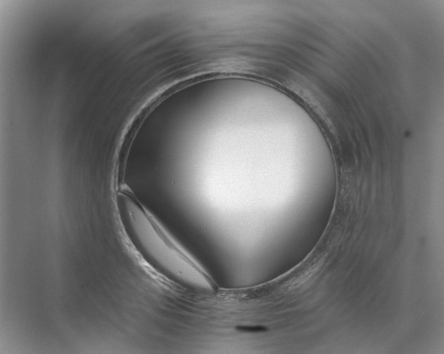 X0000073860939200608312023