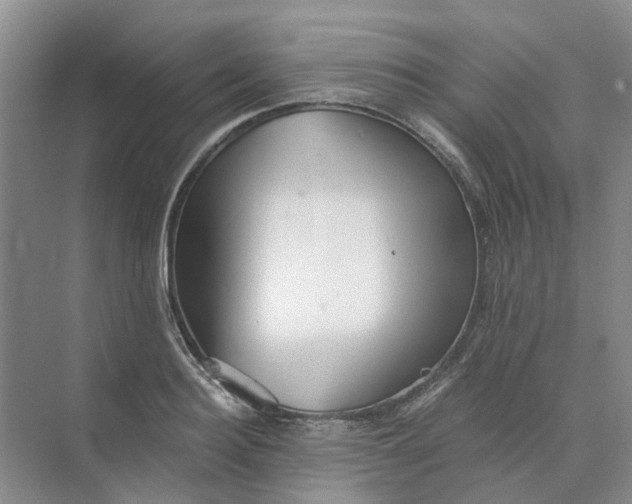 X0000073860940200608312023