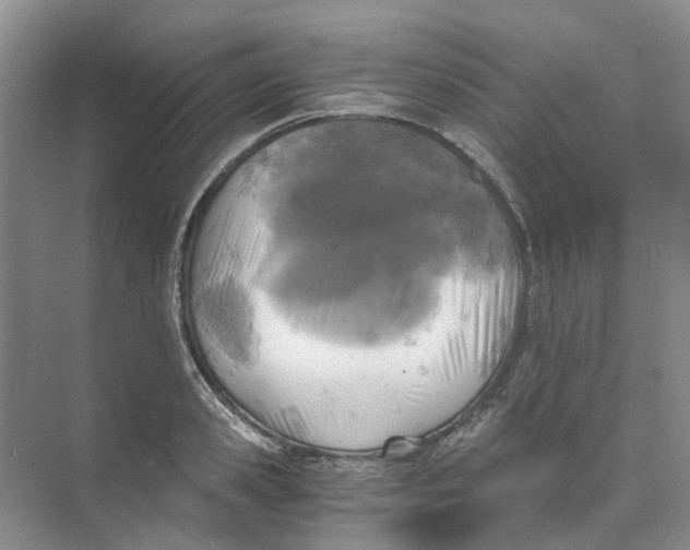 X0000073860941200608312023