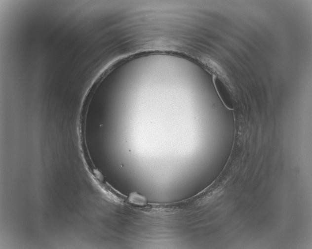 X0000073860942200608312023