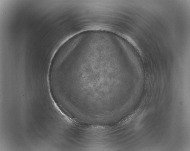 X0000073860943200608312023