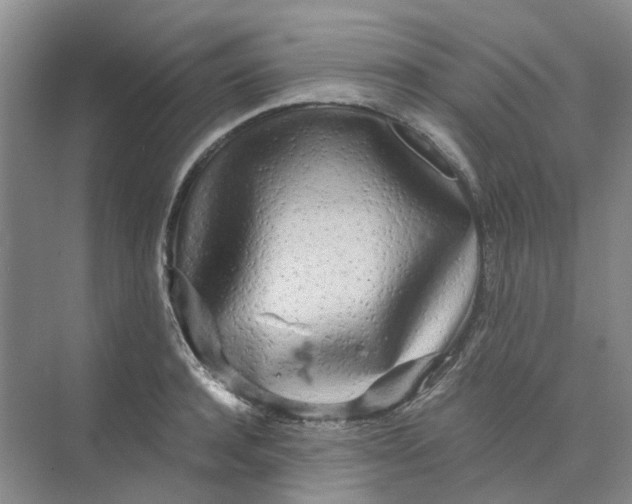 X0000073860944200608312023