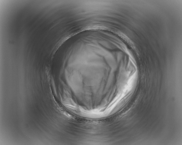 X0000073860945200608312023