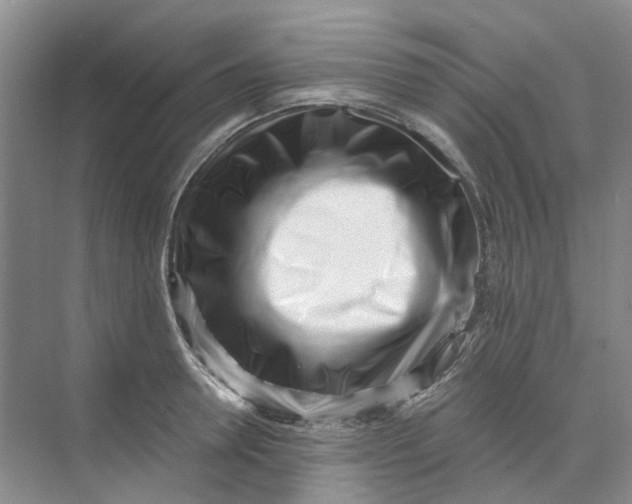 X0000073860946200608312023