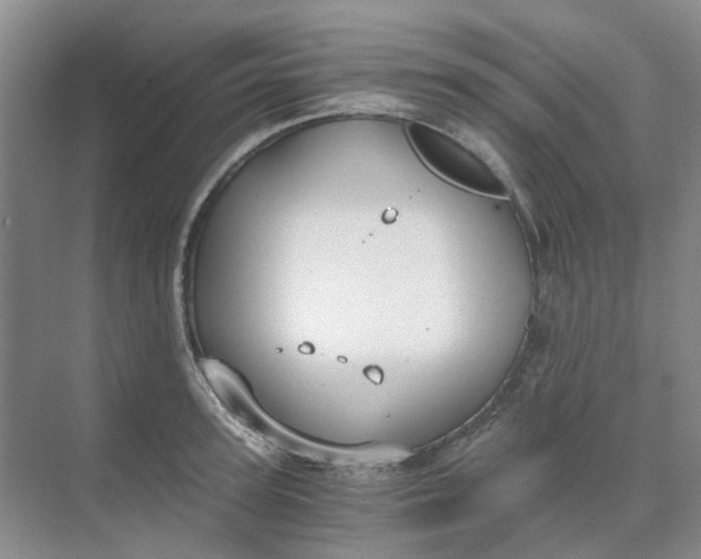 X0000073860947200608312023