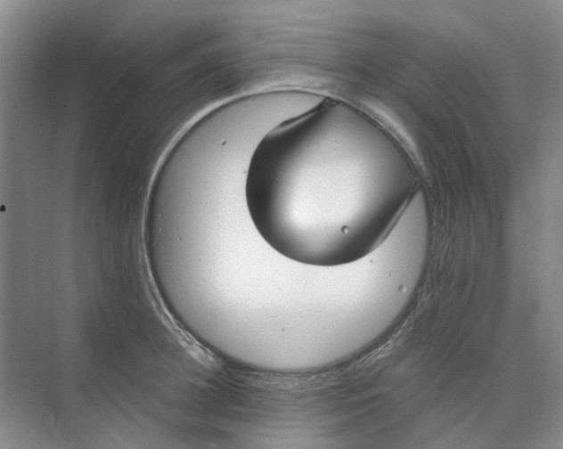 X0000073860948200608312023