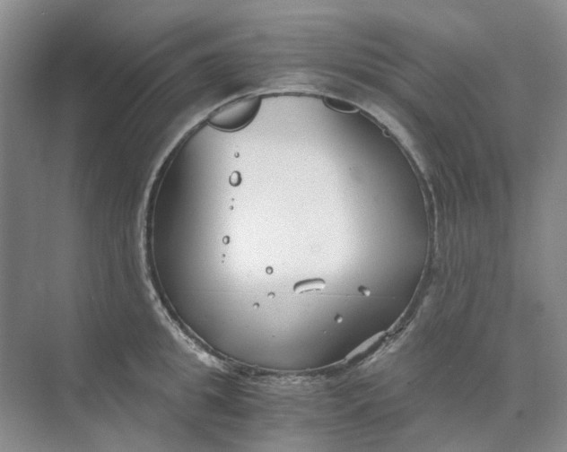 X0000073860949200608312023