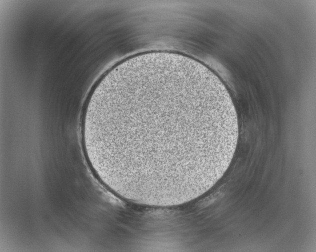 X0000073860950200608312023