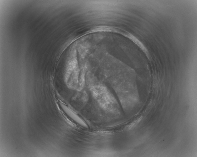 X0000073860953200608312023