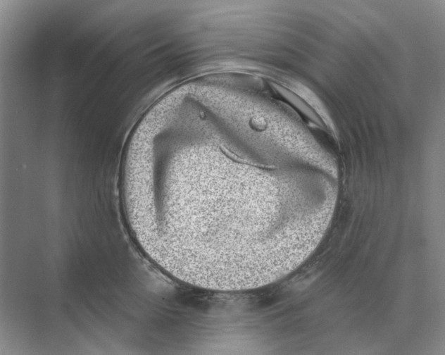 X0000073860954200608312023