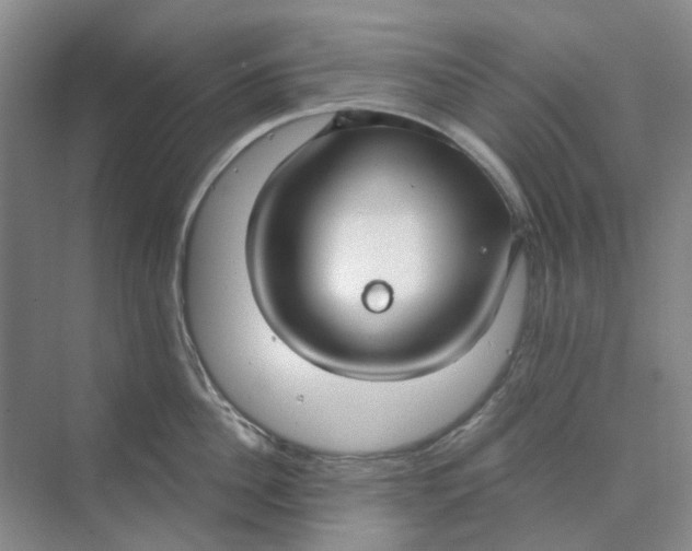 X0000073860956200608312023