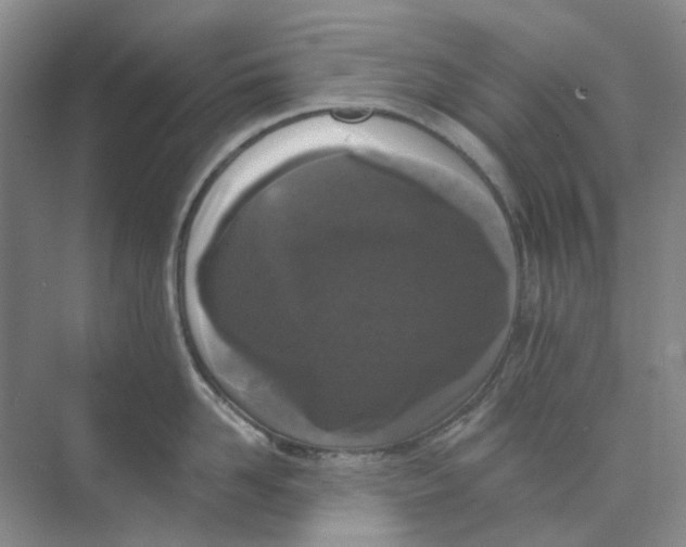 X0000073860958200608312023