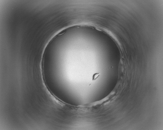 X0000073860959200608312023