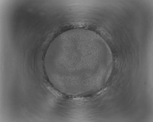 X0000073860961200608312022