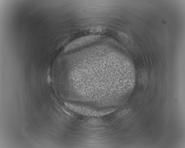 X0000073860962200608312022