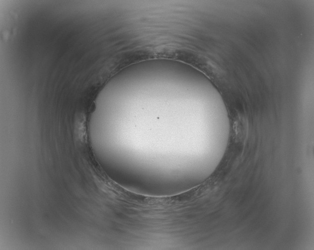 X0000073860963200608312022