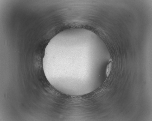 X0000073860964200608312022